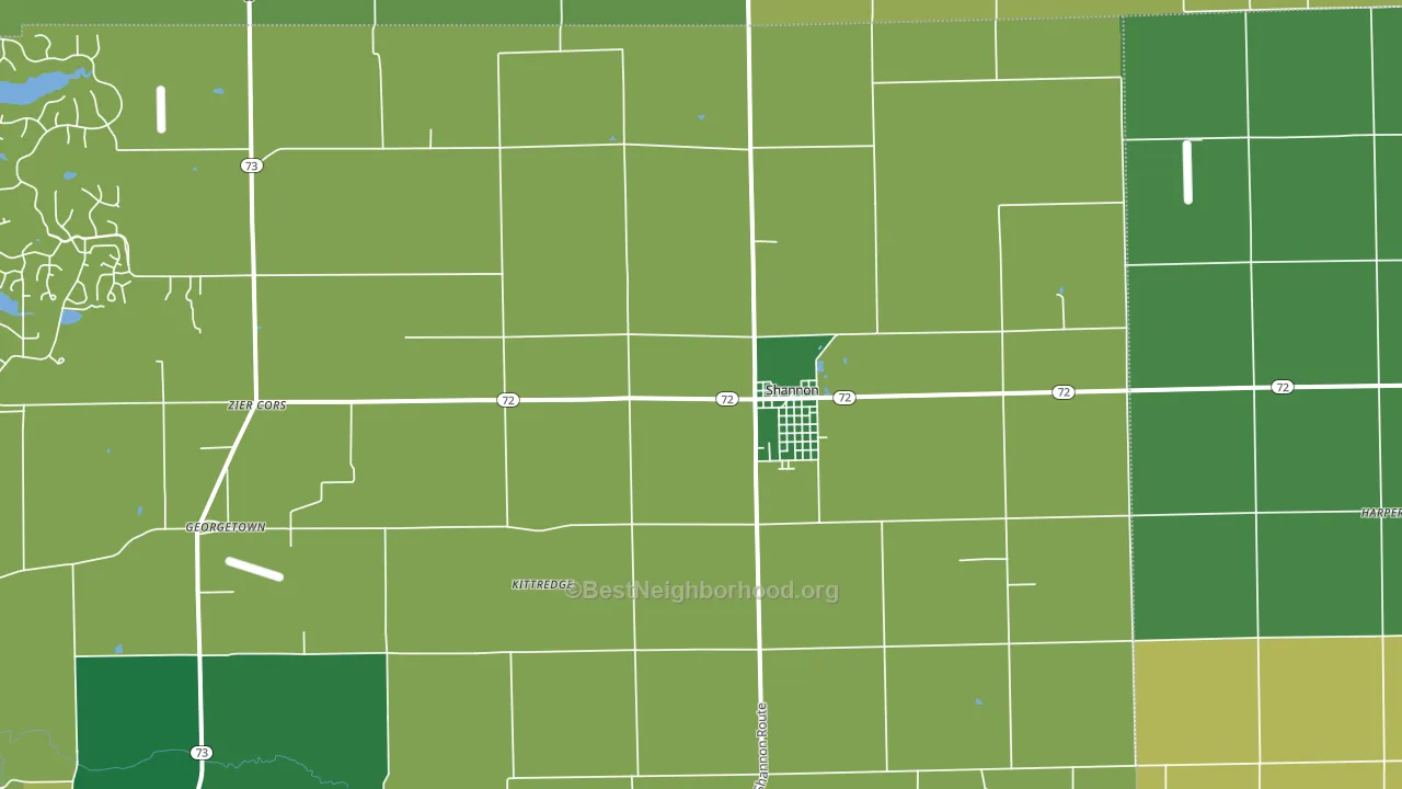 Shannon, IL block-group voter-turnout map