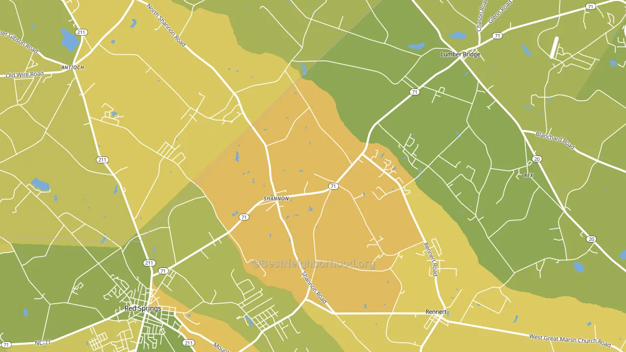 Shannon, NC block-group voter-turnout map