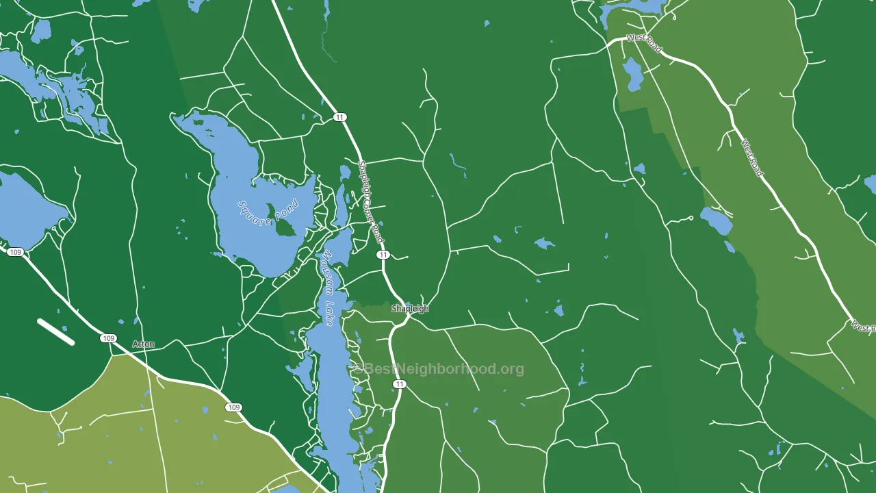 Shapleigh, ME block-group voter-turnout map