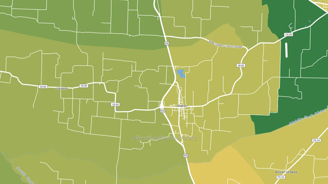 Sharon, TN block-group voter-turnout map