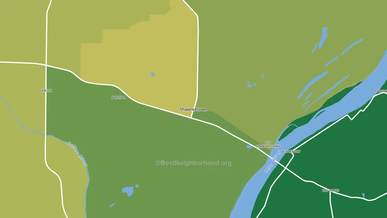 Shawneetown, IL block-group voter-turnout map