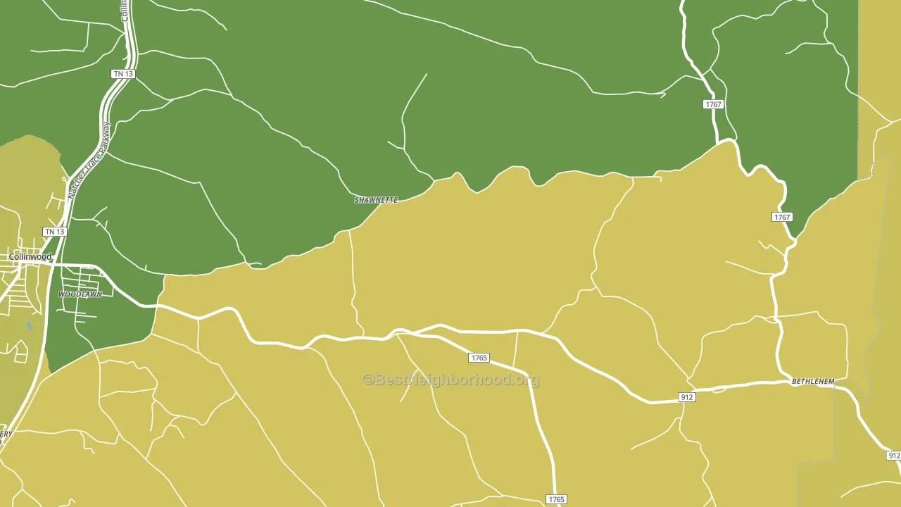 Shawnette, TN block-group voter-turnout map