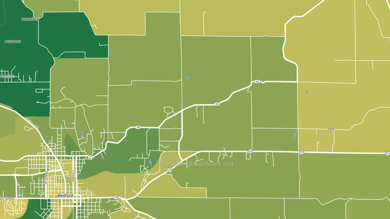 Shawswick, IN block-group voter-turnout map