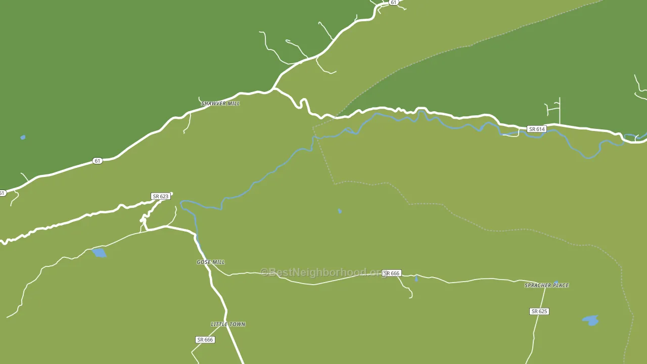 Shawver Mill, VA block-group voter-turnout map
