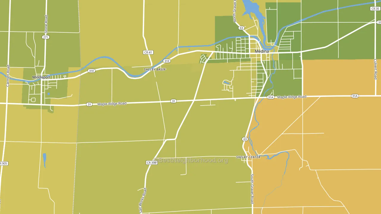 Shelby Basin, NY block-group voter-turnout map