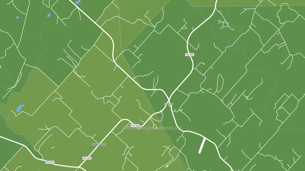 Shelby, TX block-group voter-turnout map
