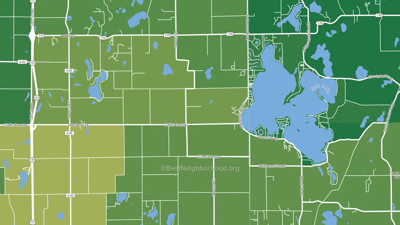 Shelbyville, MI block-group voter-turnout map