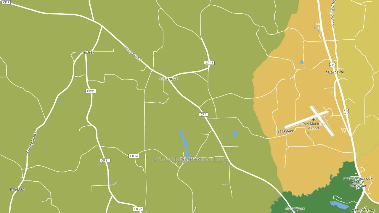Shellhorn, AL block-group voter-turnout map