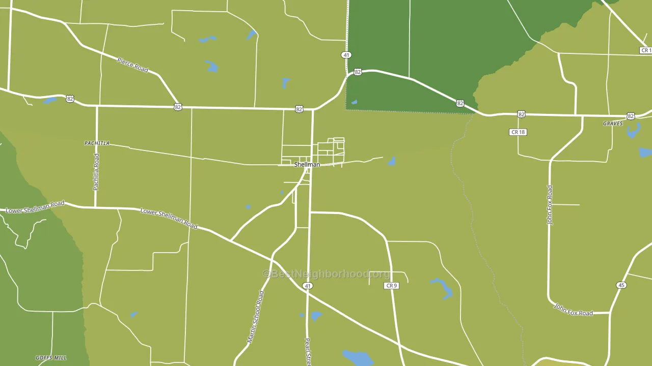 Shellman, GA block-group voter-turnout map