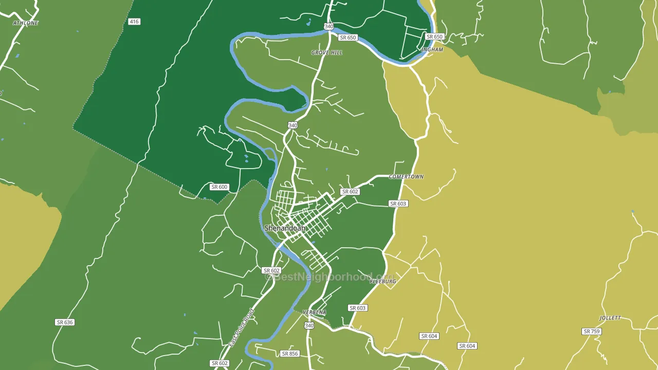 Shenandoah, VA block-group voter-turnout map
