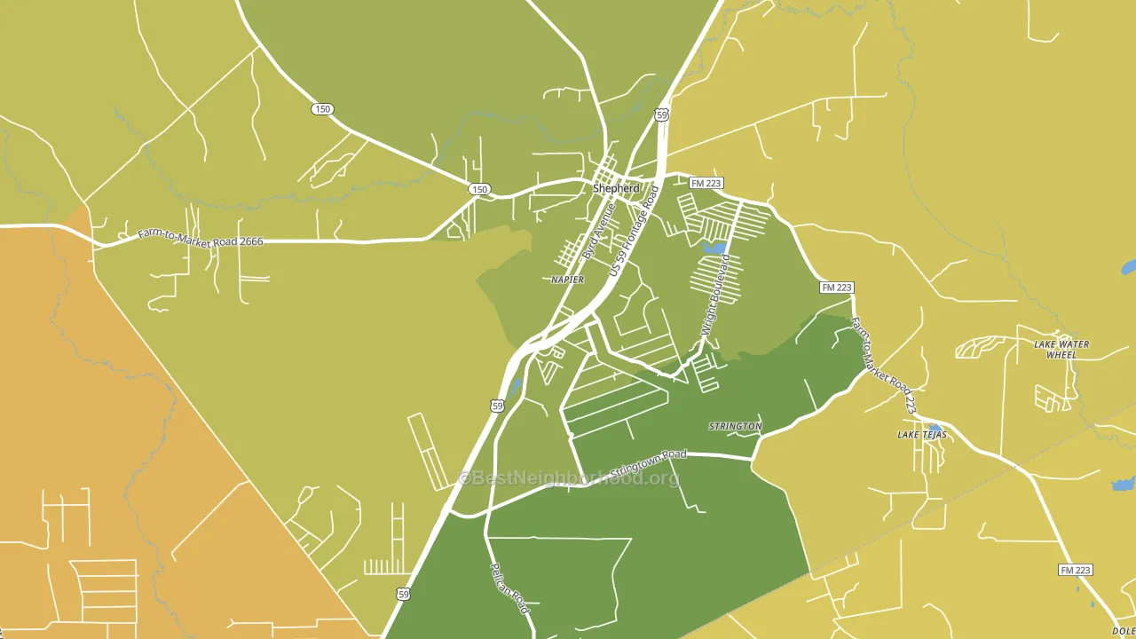 Shepherd, TX block-group voter-turnout map