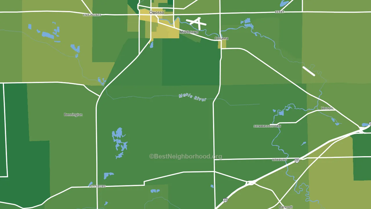 Shiawassee County, MI block-group voter-turnout map