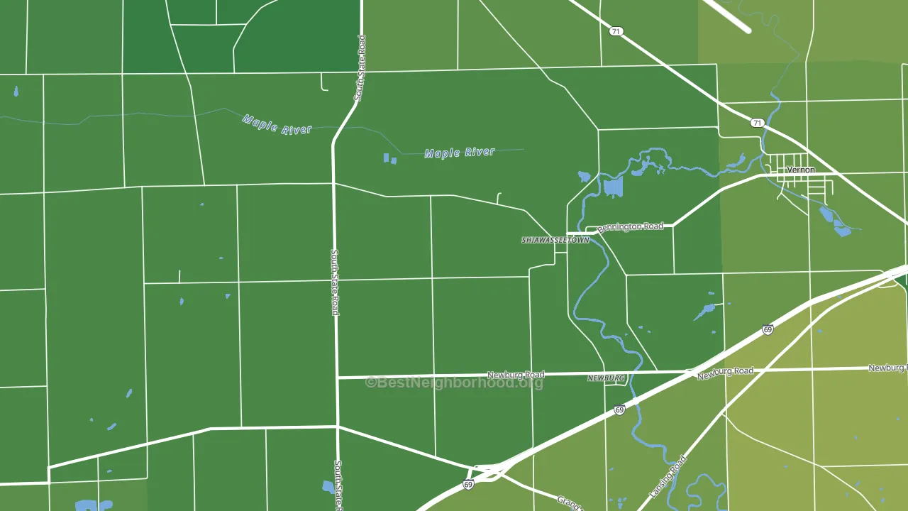 Shiawasseetown, MI block-group voter-turnout map