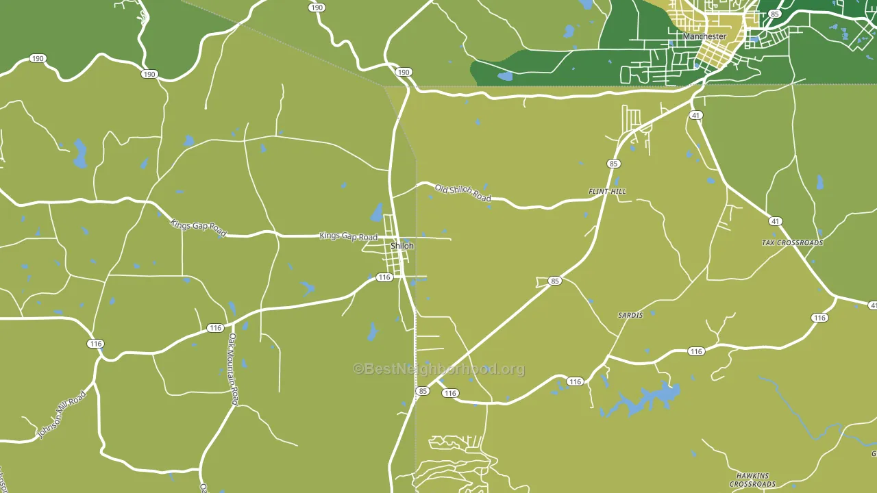 Shiloh, GA block-group voter-turnout map