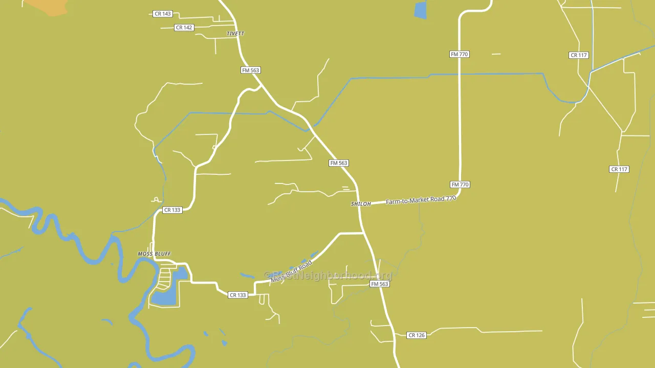 Shiloh, TX block-group voter-turnout map