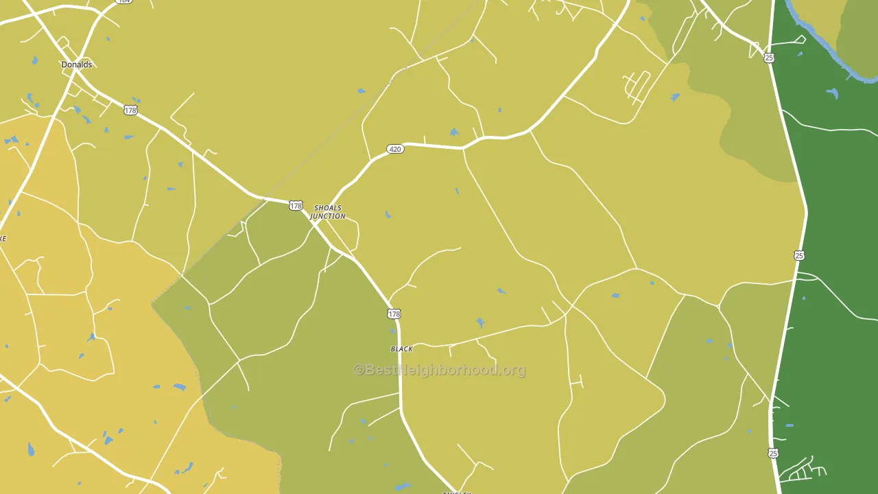 Shoals Junction, SC block-group voter-turnout map