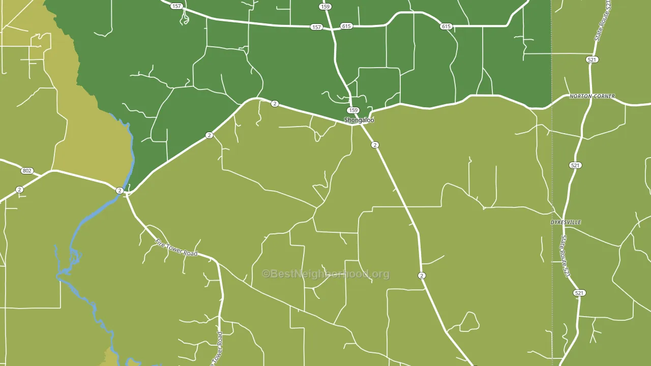 Shongaloo, LA block-group voter-turnout map