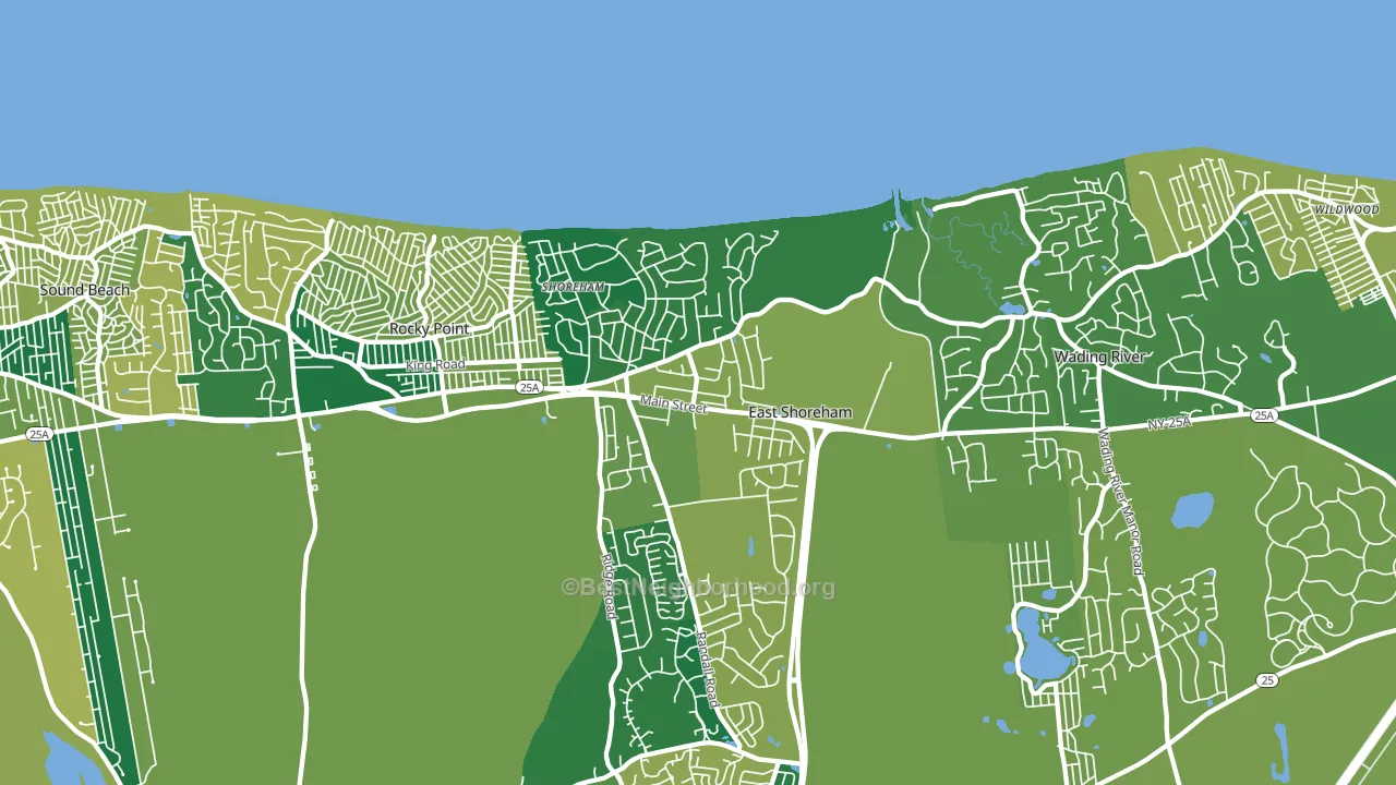 Shoreham, NY block-group voter-turnout map