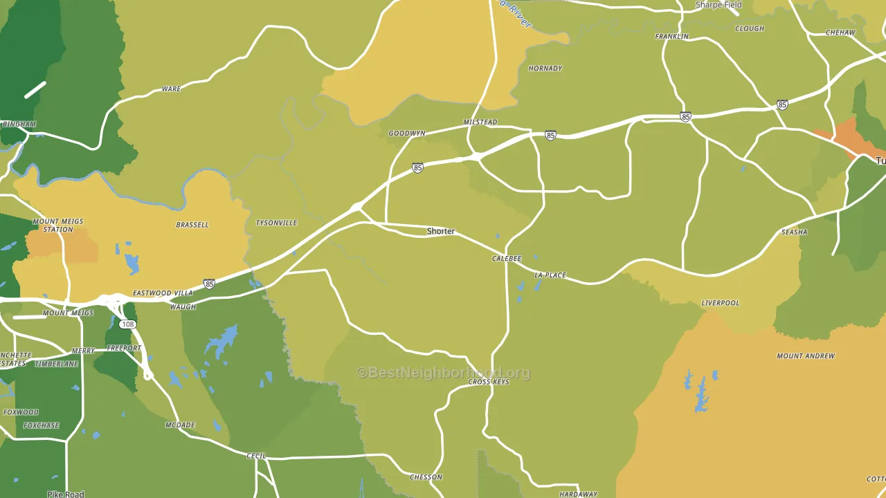 Shorter, AL block-group voter-turnout map