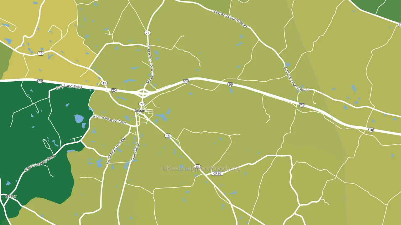 Siloam, GA block-group voter-turnout map
