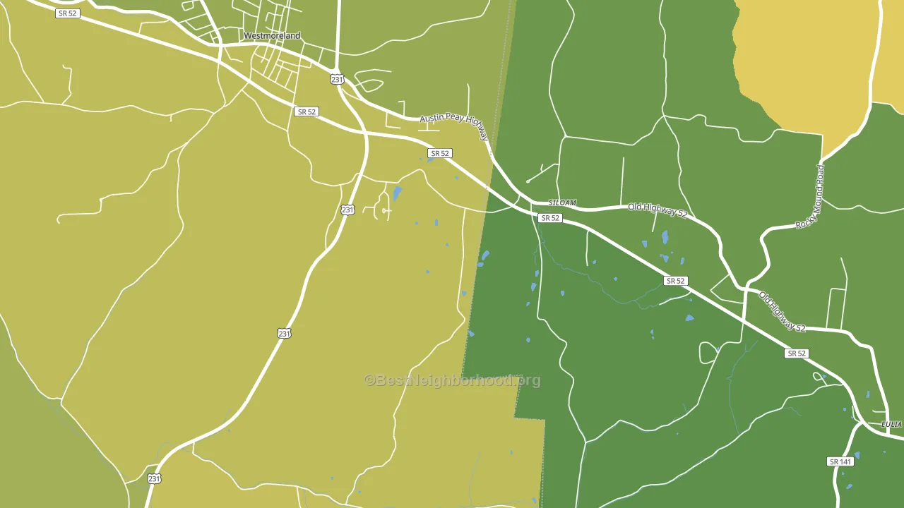 Siloam, TN block-group voter-turnout map