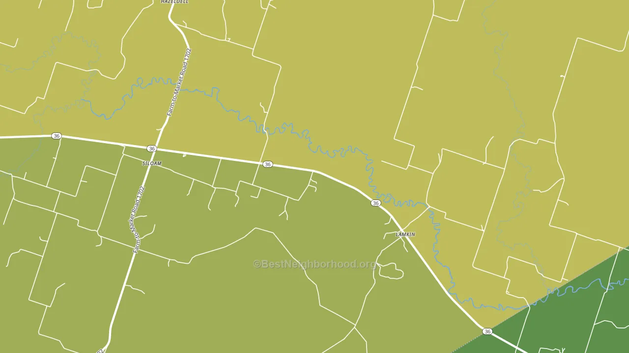 Siloam, TX block-group voter-turnout map