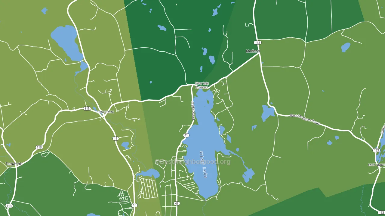 Silver Lake, NH block-group voter-turnout map