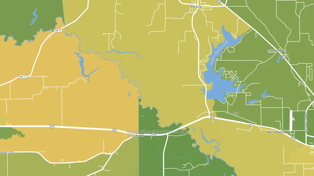 Silver Lake, TX block-group voter-turnout map