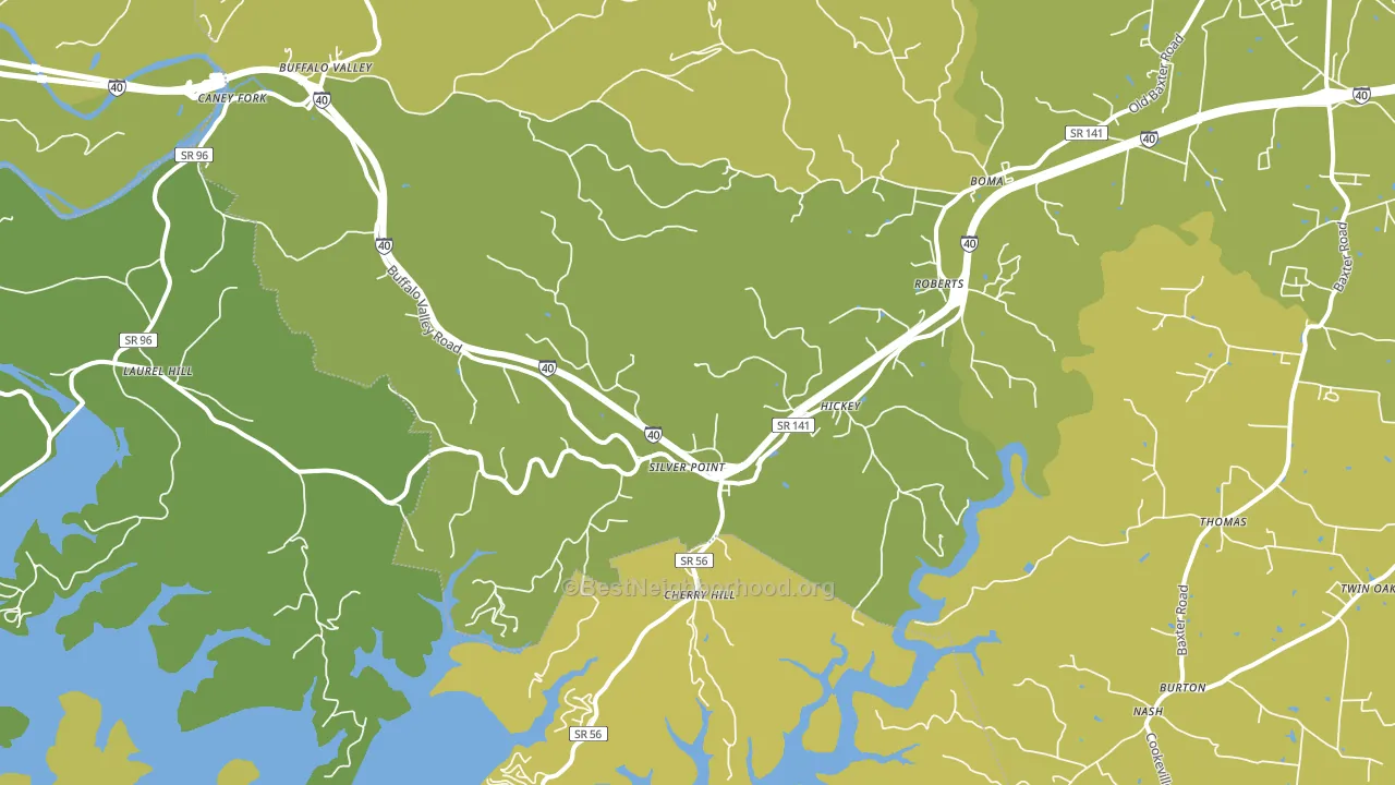 Silver Point, TN block-group voter-turnout map