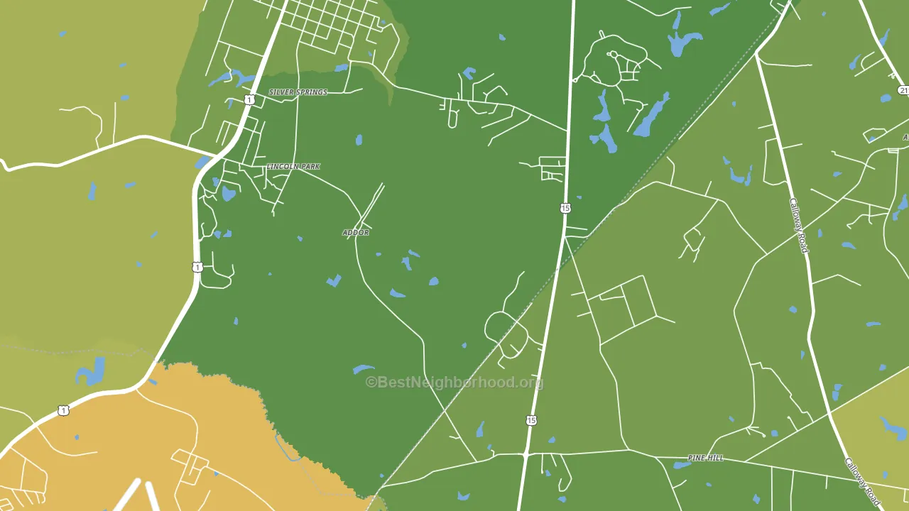 Silver Spring, NC block-group voter-turnout map