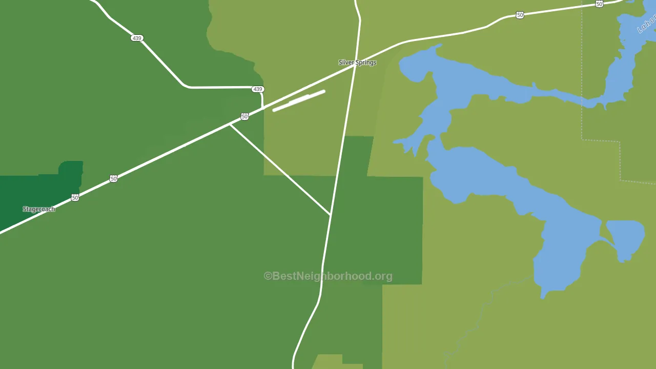 Silver Springs, NV block-group voter-turnout map