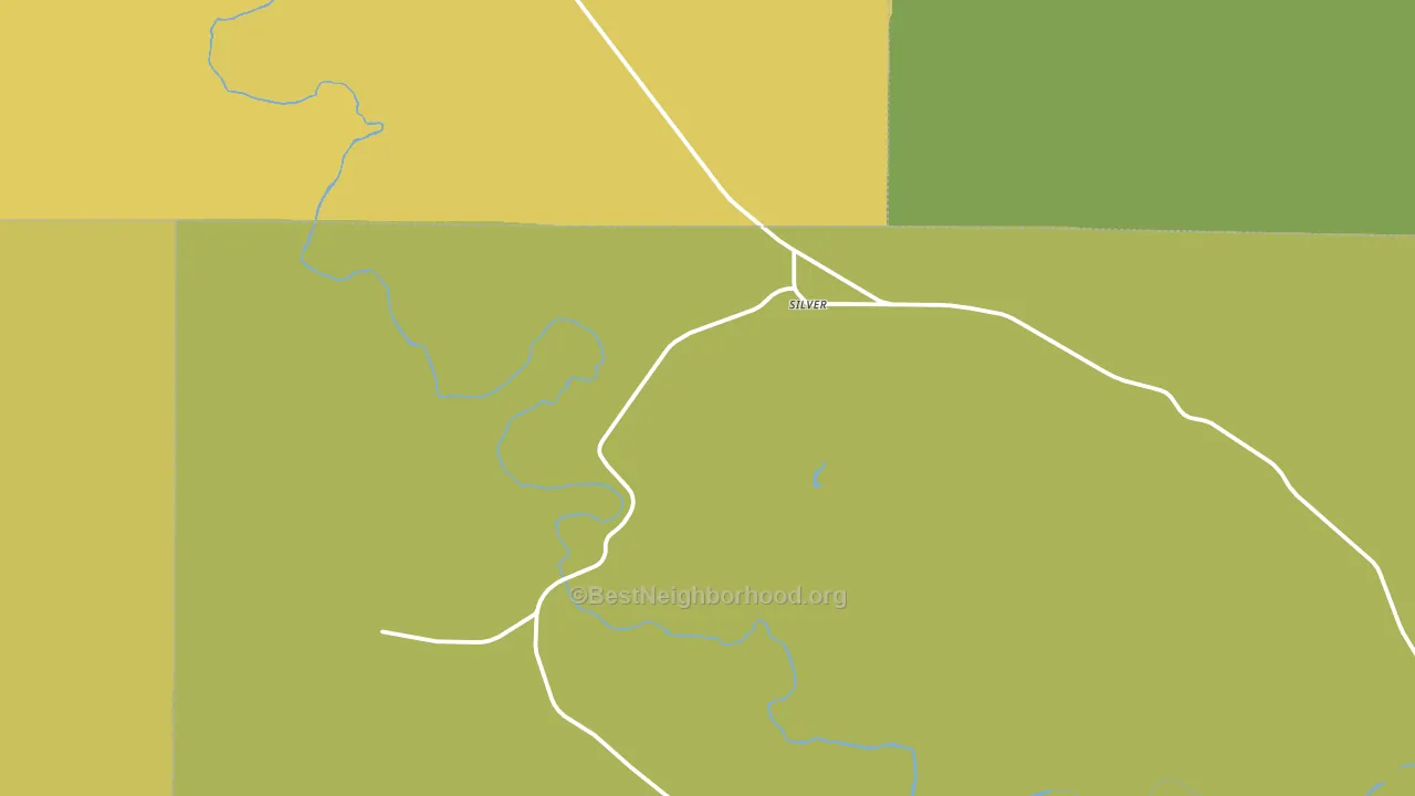 Silver, TX block-group voter-turnout map