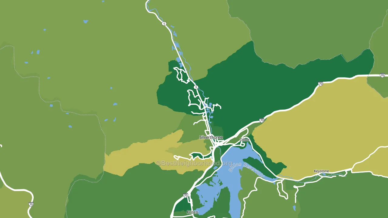 Silverthorne, CO block-group voter-turnout map