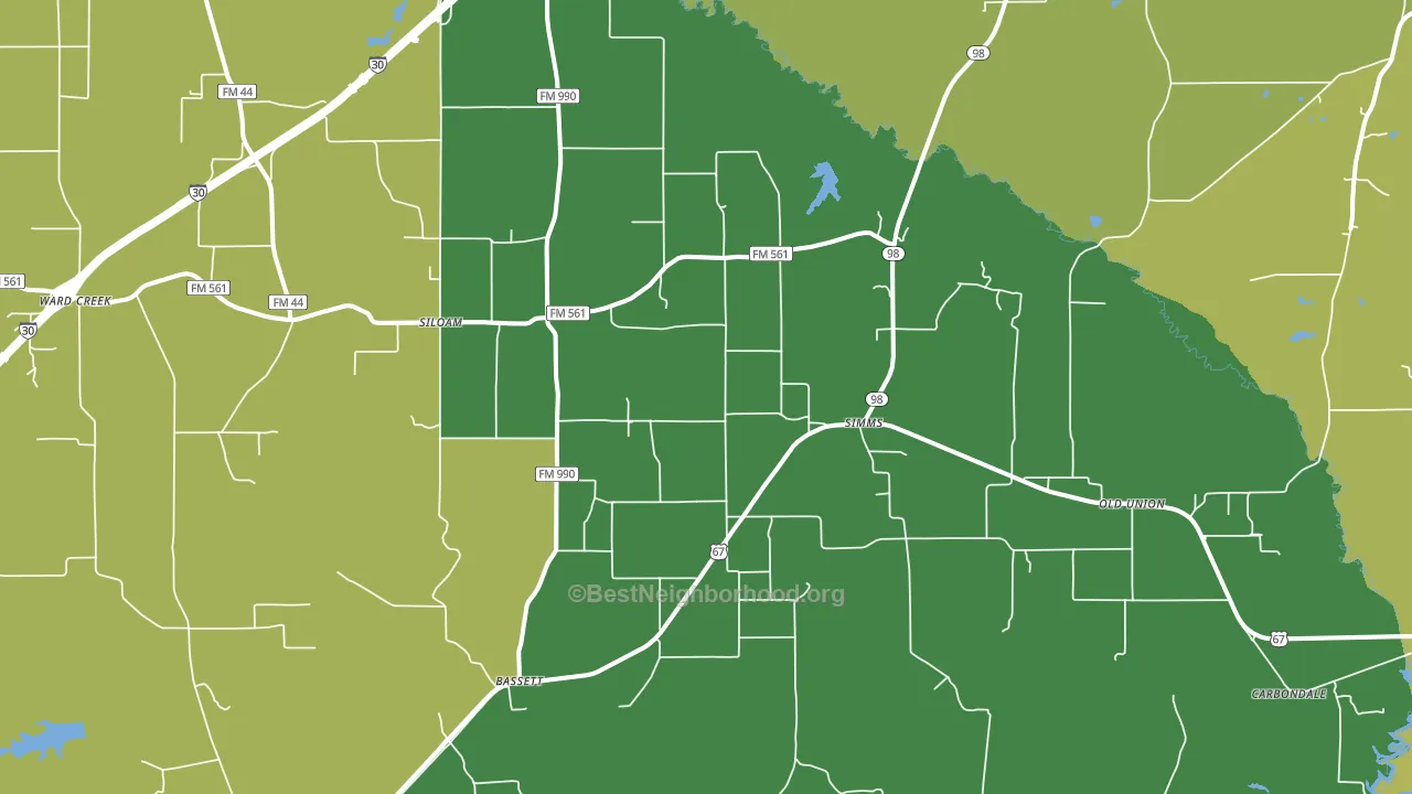 Simms, TX block-group voter-turnout map