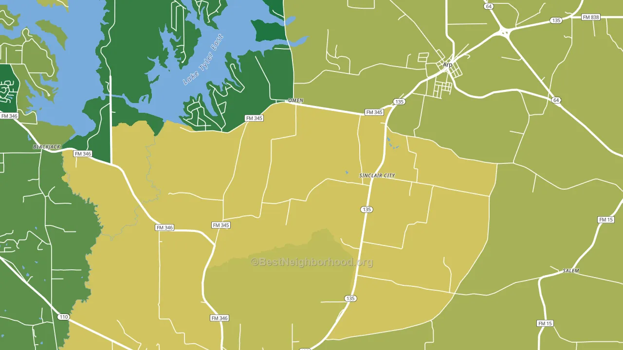 Sinclair City, TX block-group voter-turnout map