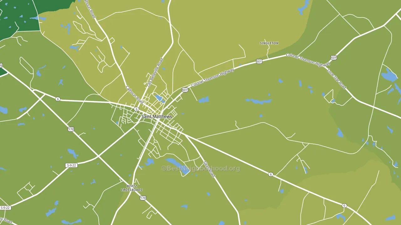 Singleton, SC block-group voter-turnout map