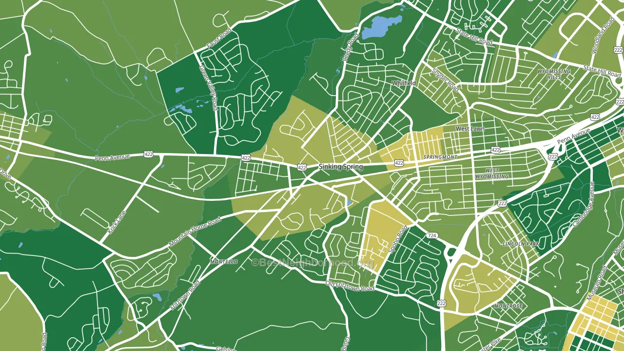 Sinking Spring, PA block-group voter-turnout map