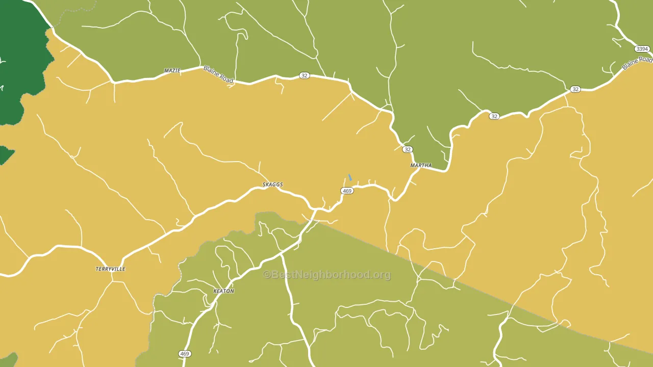 Skaggs, KY block-group voter-turnout map