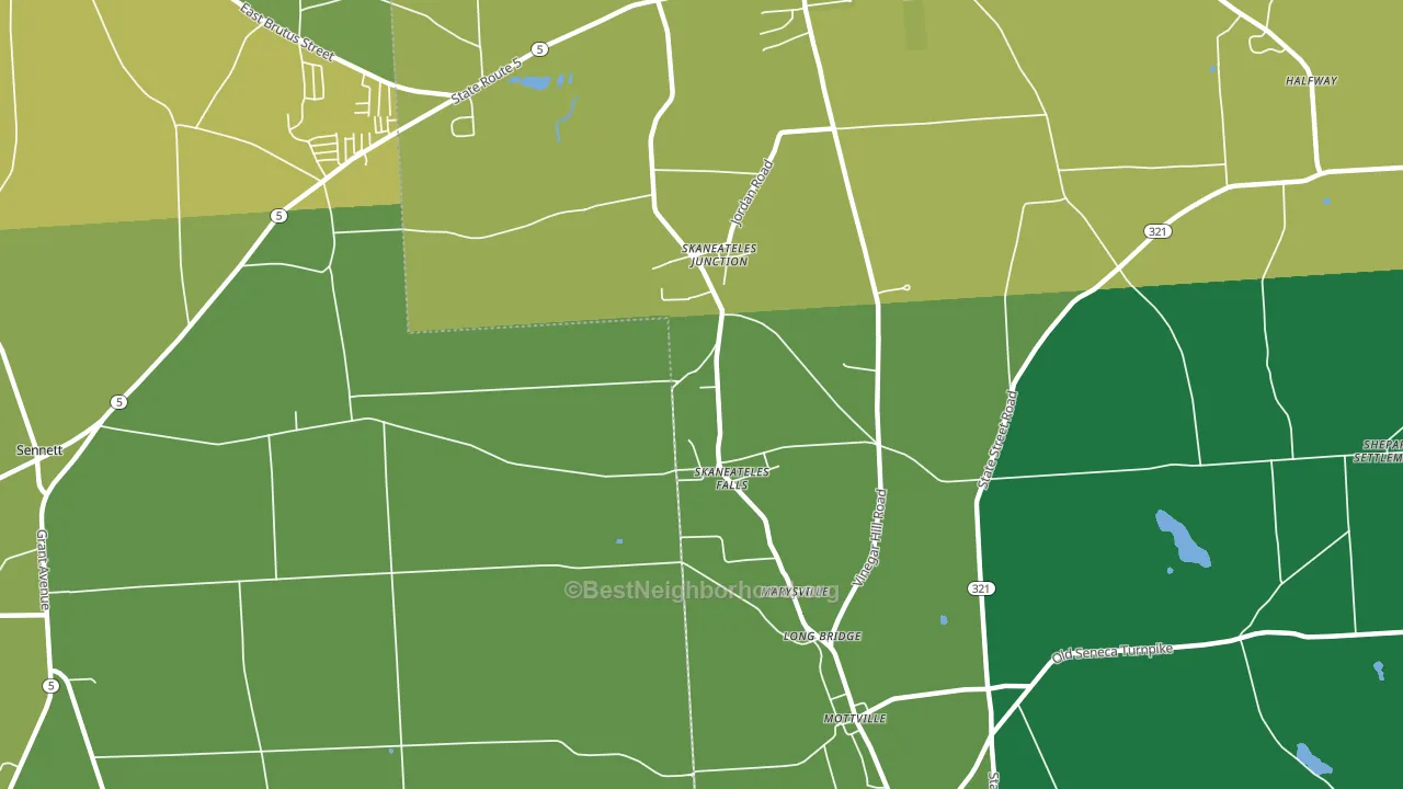 Skaneateles Falls, NY block-group voter-turnout map