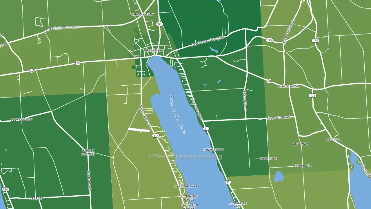 Skaneateles, NY block-group voter-turnout map