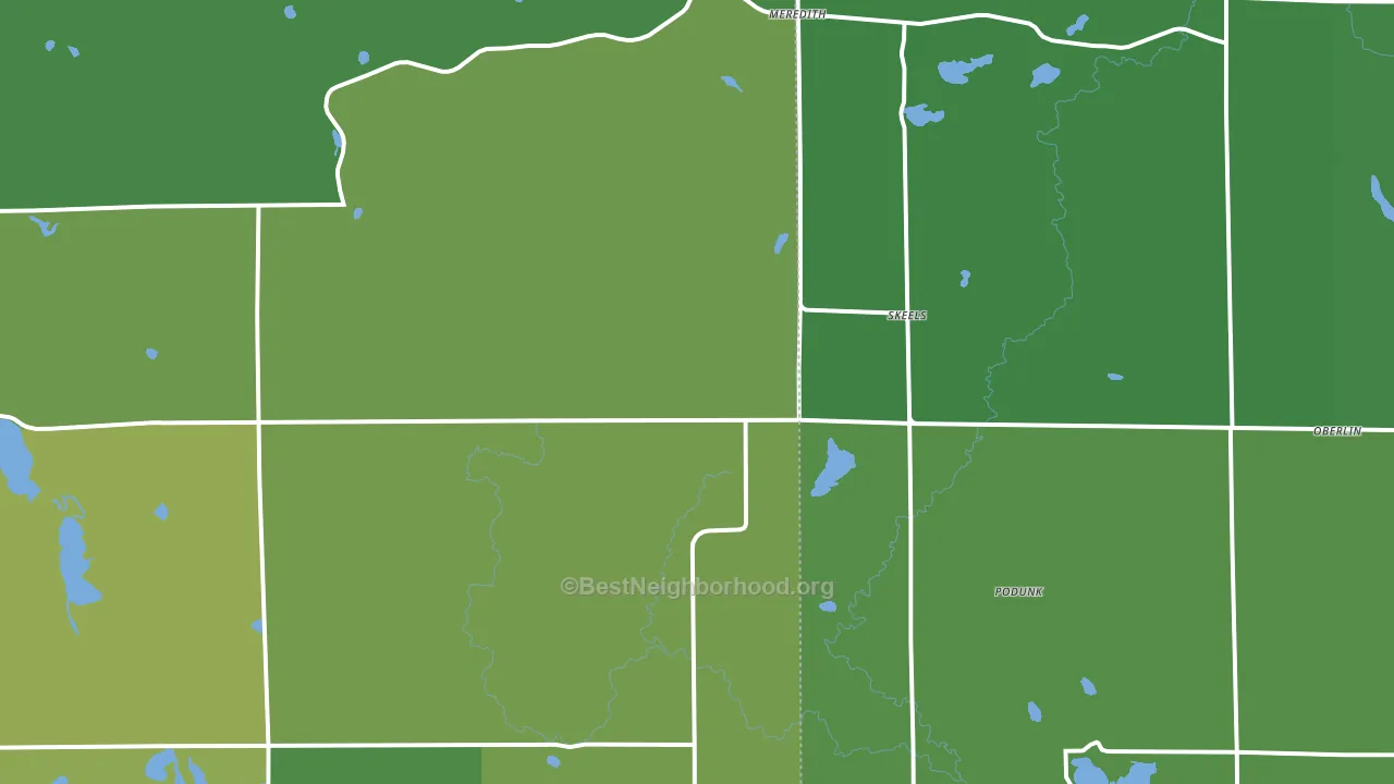 Skeels, MI block-group voter-turnout map