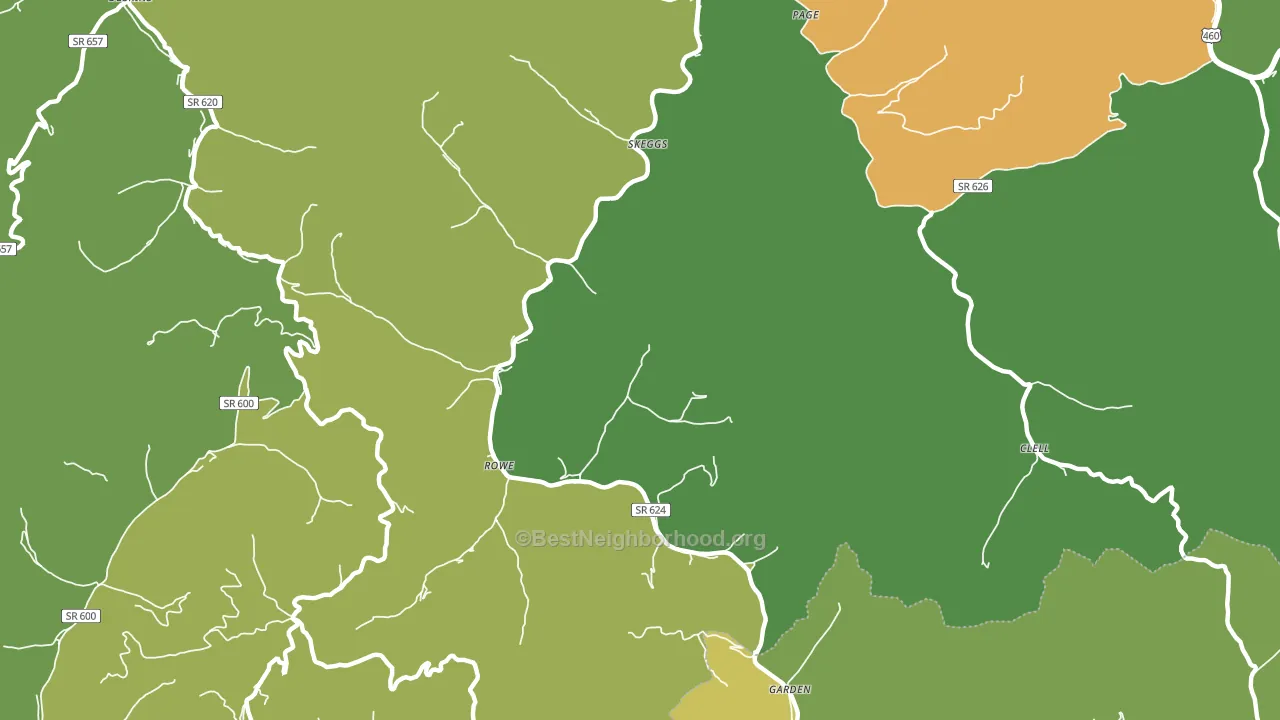 Skeggs, VA block-group voter-turnout map