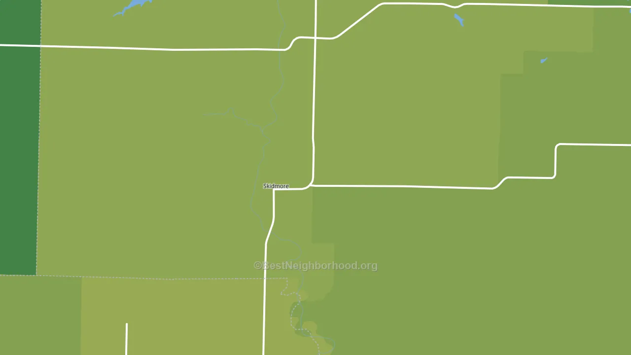 Skidmore, MO block-group voter-turnout map