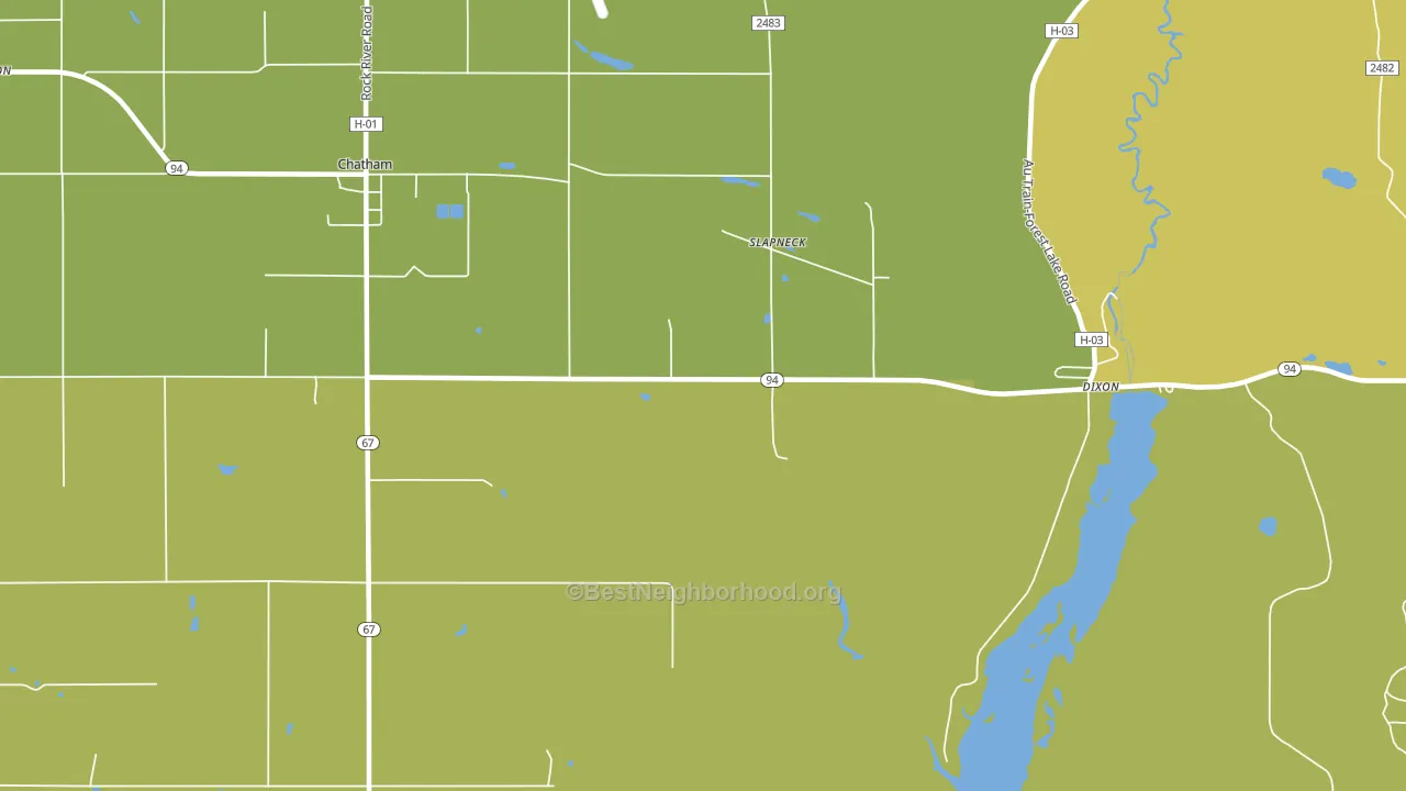 Slapneck, MI block-group voter-turnout map
