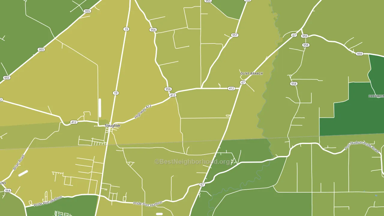 Slaughter, LA block-group voter-turnout map