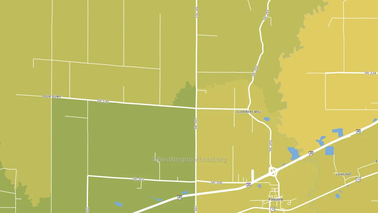 Slonikers Mill, AR block-group voter-turnout map