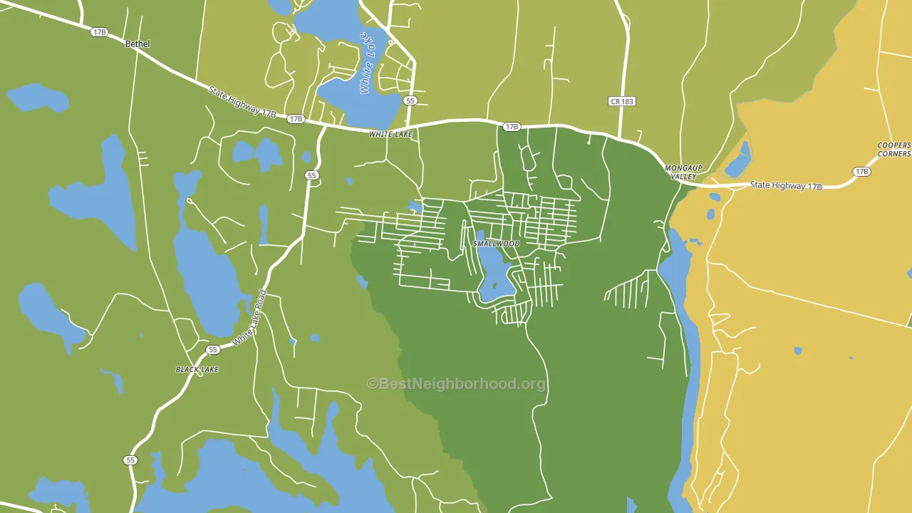 Smallwood, NY block-group voter-turnout map