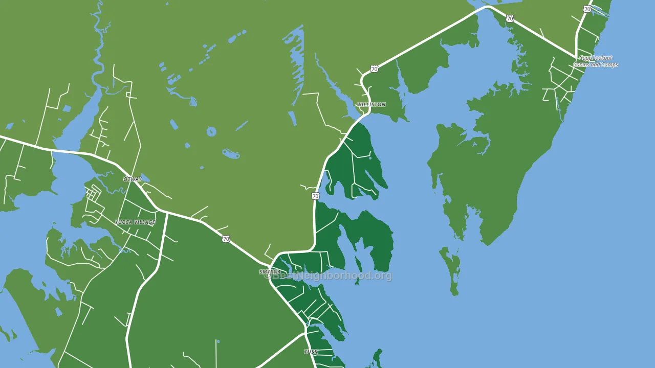 Smyrna, NC block-group voter-turnout map