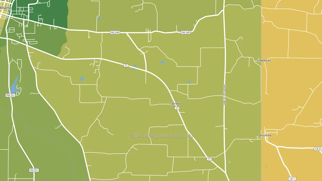 Smyrna, TX block-group voter-turnout map