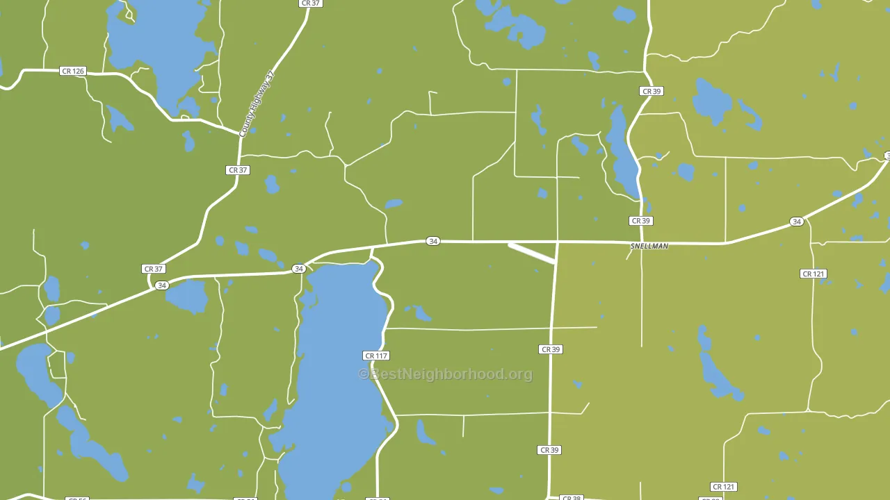 Snellman, MN block-group voter-turnout map